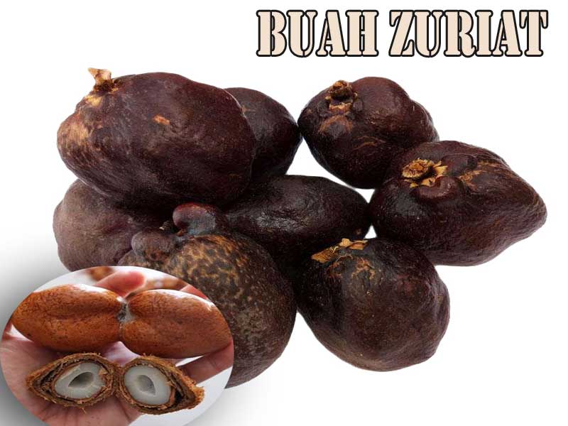 Cara-minum-buah-zuriat-2