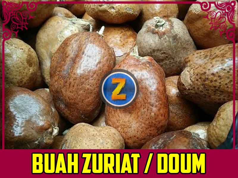 Buah Zuriat Expired Berapa Lama