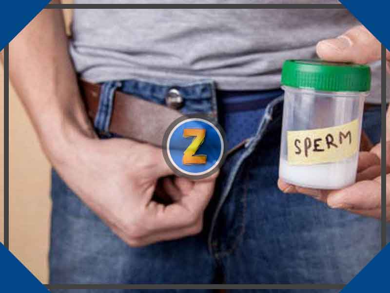 Supplier Madu Zuriat Untuk Penyubur Sperma di Kembangan